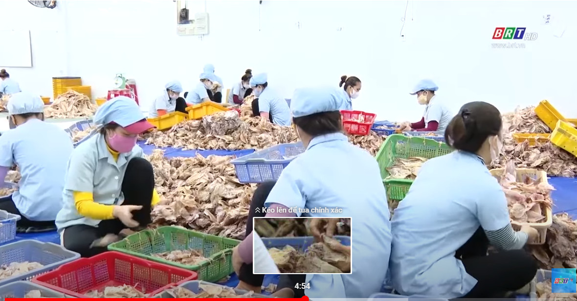 công nhân đang phân loại mực khô tại phân xưởng
